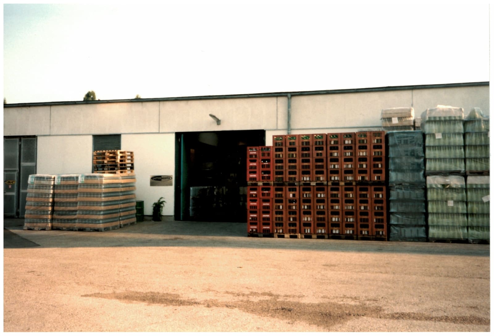 1984